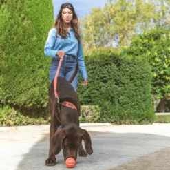 Nomad Tales Bloom Leine, Coral 25 Nomad Tales Bloom Leine, Coral -Exporteren Bitiba winkel 328200 nt bloom leine coral 4