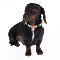 Nomad Tales Spirit Halsband, Tangerine -Exporteren Bitiba winkel 328796 spirit xs fg 7642 9