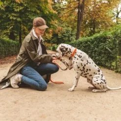 Nomad Tales Spirit Halsband, Tangerine -Exporteren Bitiba winkel 328896 nomad tales halsband tangerine leine 02 8