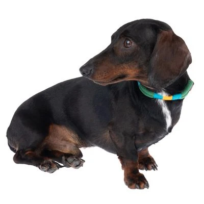 Nomad Tales Spirit Halsband, Pine 5 Nomad Tales Spirit Halsband, Pine - Afbeelding 3