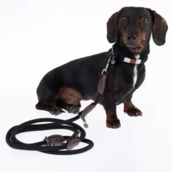 Nomad Tales Spirit Halsband, Ebony 29 Nomad Tales Spirit Halsband, Ebony -Exporteren Bitiba winkel 329001 329396 spirit xs fg 7728 6