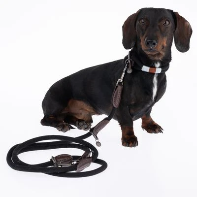 Nomad Tales Spirit Halsband, Ebony 14 Nomad Tales Spirit Halsband, Ebony - Afbeelding 12