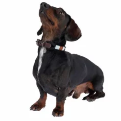 Nomad Tales Spirit Halsband, Ebony 20 Nomad Tales Spirit Halsband, Ebony -Exporteren Bitiba winkel 329001 spirit xs fg 7711 1