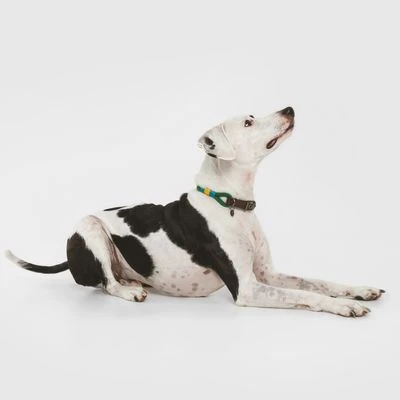 Nomad Tales Spirit Halsband, Pine 4 Nomad Tales Spirit Halsband, Pine - Afbeelding 2