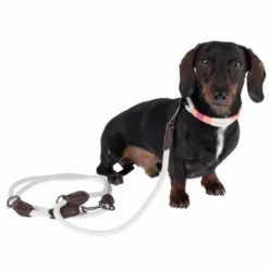 Nomad Tales Spirit Halsband, Stone 30 Nomad Tales Spirit Halsband, Stone -Exporteren Bitiba winkel 329197 329397 spirit xs fg 7690 3