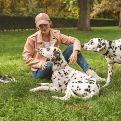 Nomad Tales Spirit Halsband, Stone 21 Nomad Tales Spirit Halsband, Stone -Exporteren Bitiba winkel 329197 nomad tales spirit halsband stone 04 4