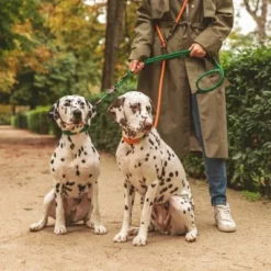 Nomad Tales Spirit Halsband, Tangerine -Exporteren Bitiba winkel 329297 nomad tales spirit leine tangerine 05 0