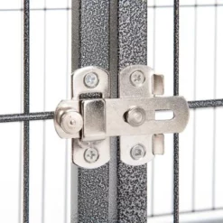 Kamerkennel Tabby -Exporteren Bitiba winkel 338302 tabby s l 05 08 2013 8 5