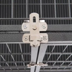 Kamerkennel Tabby -Exporteren Bitiba winkel 338302 tabby s l 06 08 2013 9 8