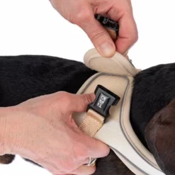 TIAKI Harnas Wave Vest, Beige 25 TIAKI Harnas Wave Vest, Beige -Exporteren Bitiba winkel 338700 tiaki wave vest m fg 8969 4