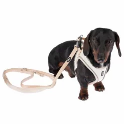 TIAKI Harnas Wave Vest, Beige 30 TIAKI Harnas Wave Vest, Beige -Exporteren Bitiba winkel 338700 tiaki wave vest m fg 8991 0