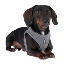 TIAKI Tuigje Wave Vest, Antraciet -Exporteren Bitiba winkel 338706 tiaki wave vest m fg 9003 3