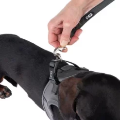 TIAKI Tuigje Wave Vest, Antraciet -Exporteren Bitiba winkel 338706 tiaki wave vest m fg 9010 8