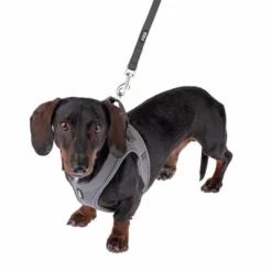 TIAKI Tuigje Wave Vest, Antraciet -Exporteren Bitiba winkel 338706 tiaki wave vest m fg 9014 1