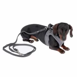 TIAKI Tuigje Wave Vest, Antraciet -Exporteren Bitiba winkel 338706 tiaki wave vest m fg 9017 9