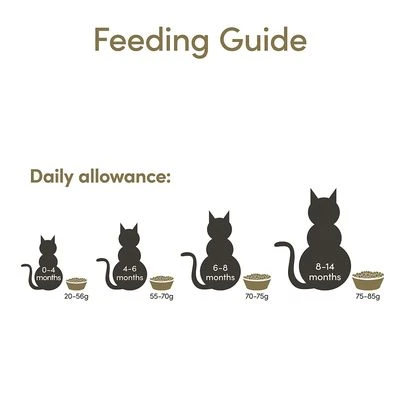 Applaws Kitten Kattenvoer 9 Applaws Kitten Kattenvoer - Afbeelding 7