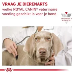 Royal Canin Veterinary - Cardiac Hondenvoer 16 Royal Canin Veterinary - Cardiac Hondenvoer -Exporteren Bitiba winkel 3930 cv eretailkit 9 nl nl v3 7
