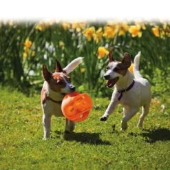 KONG Jumbler Bal -Exporteren Bitiba winkel 439783 kong jumbler im einsatz 1