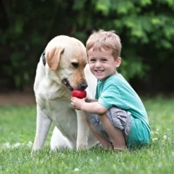 KONG Classic Rood -Exporteren Bitiba winkel 46452 kong classic hs 04 3