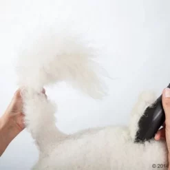 Schermaschine Moser Max50 31 Schermaschine Moser Max50 -Exporteren Bitiba winkel 465281 schermaschine moser max 50 02 0