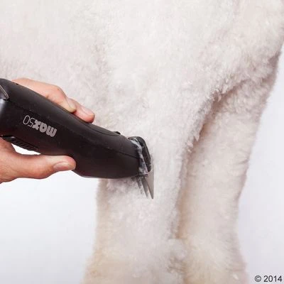 Schermaschine Moser Max50 15 Schermaschine Moser Max50 - Afbeelding 13