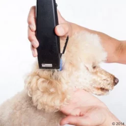 Tondeuse Moser Rex 21 Tondeuse Moser Rex -Exporteren Bitiba winkel 465375 schermaschine moser rex 03 5