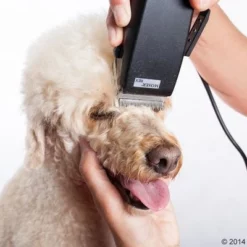 Tondeuse Moser Rex 23 Tondeuse Moser Rex -Exporteren Bitiba winkel 465375 schermaschine moser rex 04 0