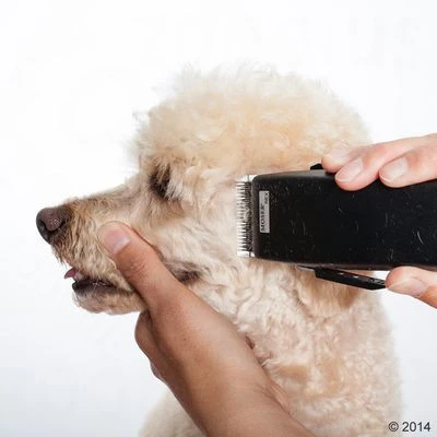 Tondeuse Moser Rex 11 Tondeuse Moser Rex - Afbeelding 9