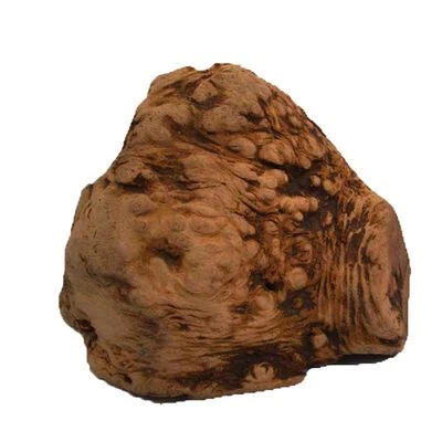 Chewies Kauwwortel 4 Chewies Kauwwortel - Afbeelding 2