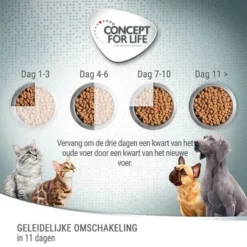 Concept For Life Oral Care -Exporteren Bitiba winkel 4 cfl board feeding 1000x1000 1 8