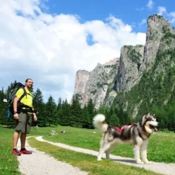 NEEWA Bungee Lijn -Exporteren Bitiba winkel 505646 hp neewa bungee leine im einsatz 9