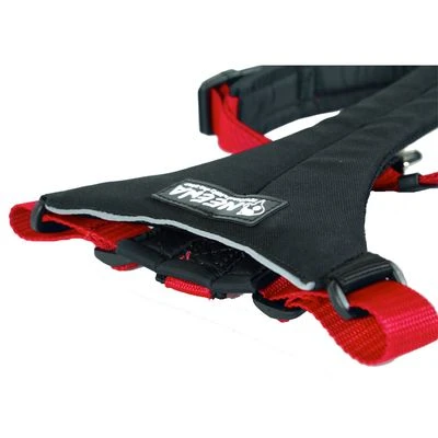 NEEWA Running Harness 4 NEEWA Running Harness - Afbeelding 2