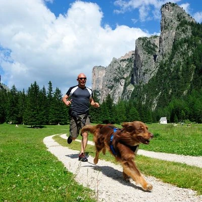 NEEWA Running Harness 6 NEEWA Running Harness - Afbeelding 4