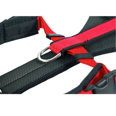 NEEWA Running Harness 5 NEEWA Running Harness - Afbeelding 3