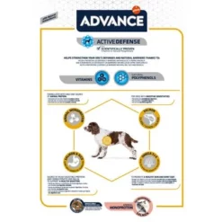 Advance Sensitive Adult Zalm & Rijst Hondenvoer -Exporteren Bitiba winkel 53009 advance adult sensitivsalm n 12kg hs 06 8