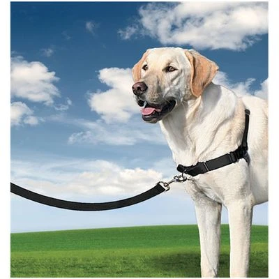 PetSafe Easy Walk Harness 4 PetSafe Easy Walk Harness - Afbeelding 2