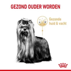 Royal Canin Breed Yorkshire Terrier Adult 8+ Hondenvoer 10 Royal Canin Breed Yorkshire Terrier Adult 8+ Hondenvoer -Exporteren Bitiba winkel 5 new project 7