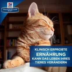 Hill´s Prescription Diet D/D Allergy & Skin Care Kattenvoer Met Eend En Groene Erwten -Exporteren Bitiba winkel 5 pd ecommerce thumbnails transforming lives de 8