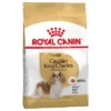 Royal Canin Cavalier King Charles Adult Hondenvoer -Exporteren Bitiba winkel 61124 pla royalcanin adulthund cavalier 2