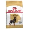 Royal Canin Rottweiler Adult Hondenvoer -Exporteren Bitiba winkel 61166 pla royalcanin adulthund rottweiler 7