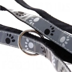 Trixie Set: Halsband Poten Zilver Reflect + Hondenlijn 17 Trixie Set: Halsband Poten Zilver Reflect + Hondenlijn -Exporteren Bitiba winkel 61857 trixie vleinepfoten3 1