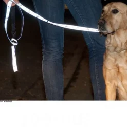 Trixie Set: Halsband Poten Zilver Reflect + Hondenlijn 16 Trixie Set: Halsband Poten Zilver Reflect + Hondenlijn -Exporteren Bitiba winkel 61857 trixie vleinepfoten4 1