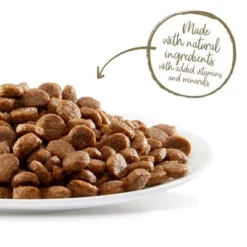 Applaws Senior Kattenvoer 14 Applaws Senior Kattenvoer -Exporteren Bitiba winkel 64847 64768 applaws senior huhn hs 5 1 6