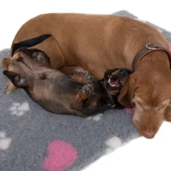 Vetbed® Pootjes & Hartjes -Exporteren Bitiba winkel 65084 isobed zooplus dsc3141 2