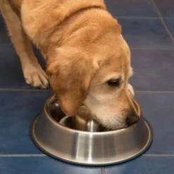 Antischrok Voerbak Uit RVS -Exporteren Bitiba winkel 66349 antischlingnapf fg 1011 1