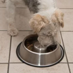 Antischrok Voerbak Uit RVS -Exporteren Bitiba winkel 66523 antischlingnapf fg 0988 4