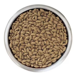 Purina Pro Plan Medium & Large Adult 7+ Sensitive Skin Hondenvoer 9 Purina Pro Plan Medium & Large Adult 7+ Sensitive Skin Hondenvoer -Exporteren Bitiba winkel 67097 mediumlarge adult 7 sensitive skin optiderma 3