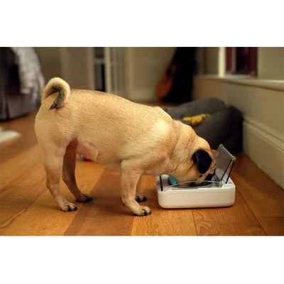 SureFeed Luchtdichte Voerbak 6 SureFeed Luchtdichte Voerbak - Afbeelding 4