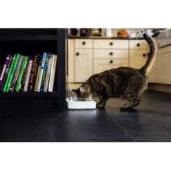 SureFeed Luchtdichte Voerbak 21 SureFeed Luchtdichte Voerbak -Exporteren Bitiba winkel 69308 pla 7 luftdichte futt 5