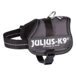 Julius K9 JULIUS-K9® Powertuigje - Antraciet -Exporteren Bitiba winkel 69337 pla trixie julius k9 farbangabe hs 03 15000za 4
